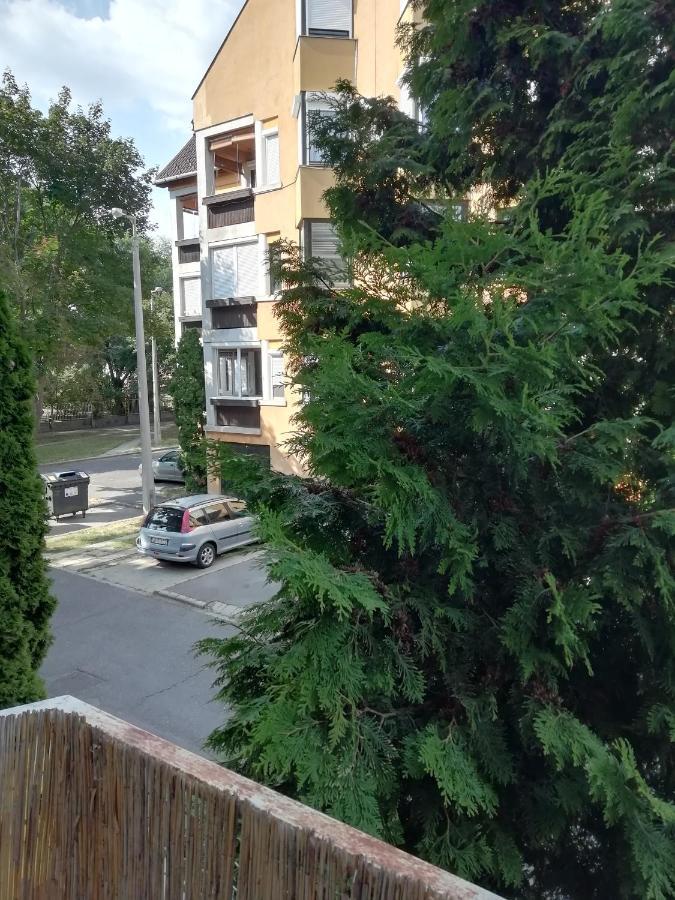 Rokus Apartman Daire Segedin Dış mekan fotoğraf